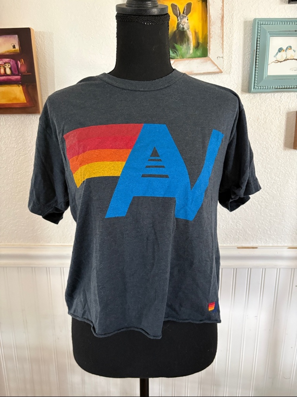 Aviator Nation Cropped Charcoal Tee with Blue Logo & Red-Orange-Yellow Sz M EUC